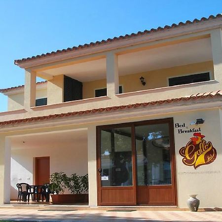 Gallo Spot San Teodoro (Sardinia) Exterior foto
